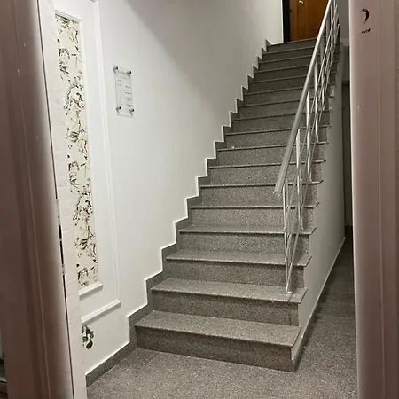 Nikollaj * Kamez
